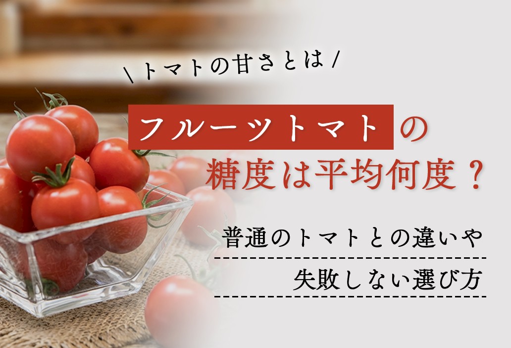 フルーツトマトの糖度は平均何度？普通のトマトとの違いや失敗しない選び方