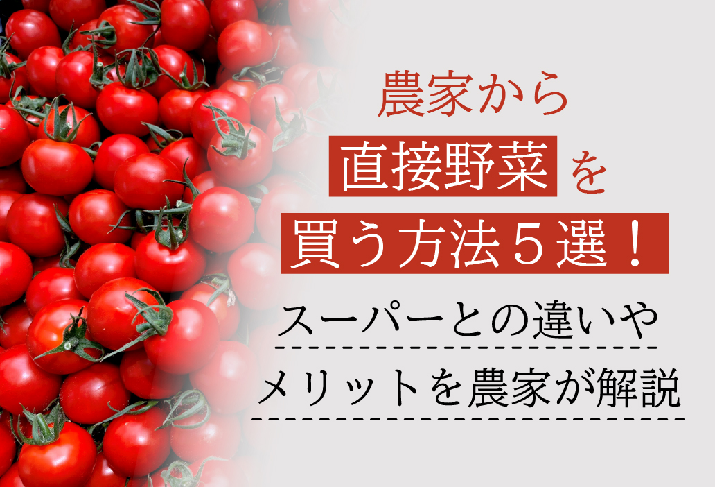 農家から直接野菜を買う方法5選！スーパーとの違いやメリットを農家が解説