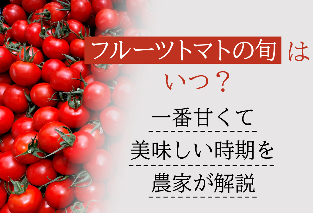 フルーツトマトの旬はいつ？一番甘くて美味しい時期を農家が解説