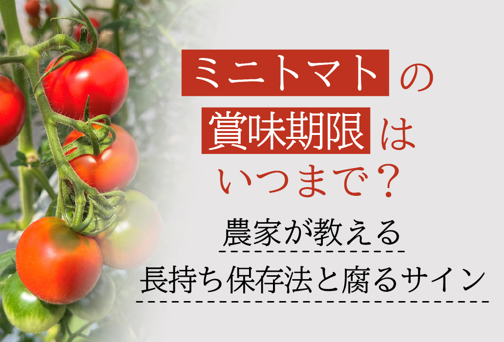 ミニトマトの賞味期限はいつまで？農家が教える長持ち保存法と腐るサイン