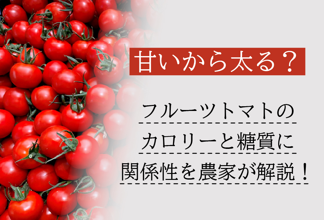 甘いから太る？フルーツトマトのカロリーと糖質に関係性を農家が解説！