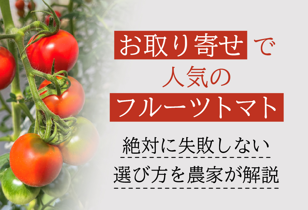 お取り寄せで人気のフルーツトマト！絶対に失敗しない選び方を農家が解説