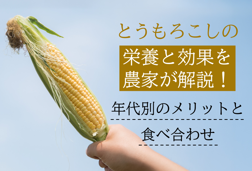 とうもろこしの栄養と効果を農家が解説！年代別のメリットと食べ合わせ