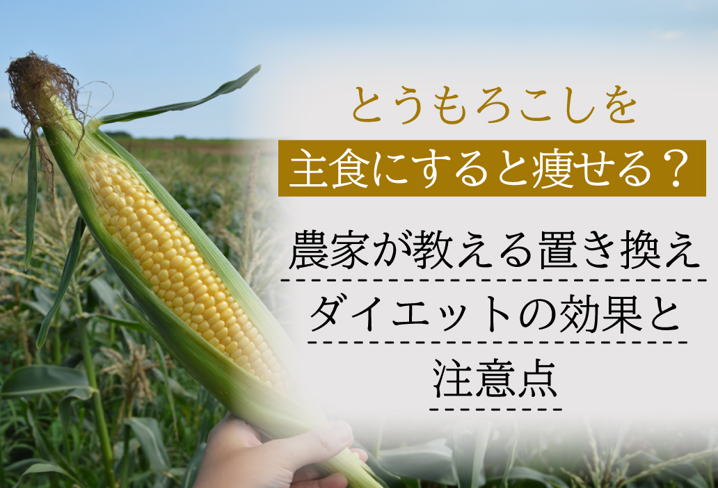とうもろこしを主食にすると痩せる？農家が教える置き換えダイエットの効果と注意点