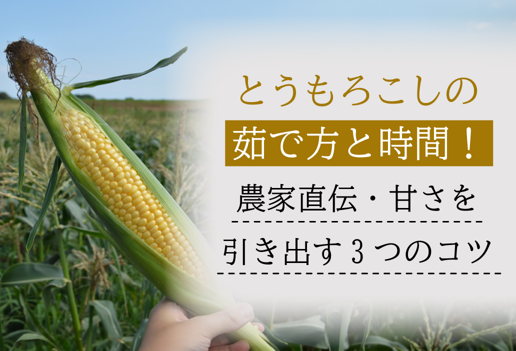 とうもろこしの茹で方と時間！農家直伝・甘さを引き出す3つのコツ