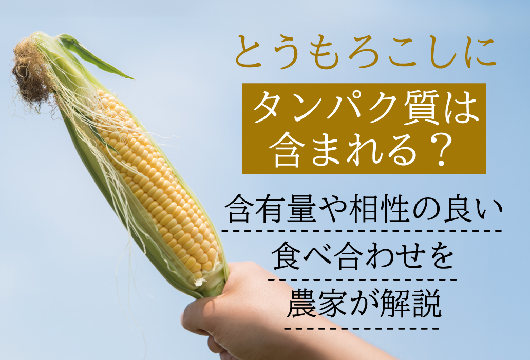 とうもろこしにタンパク質は含まれる？含有量や相性の良い食べ合わせを農家が解説
