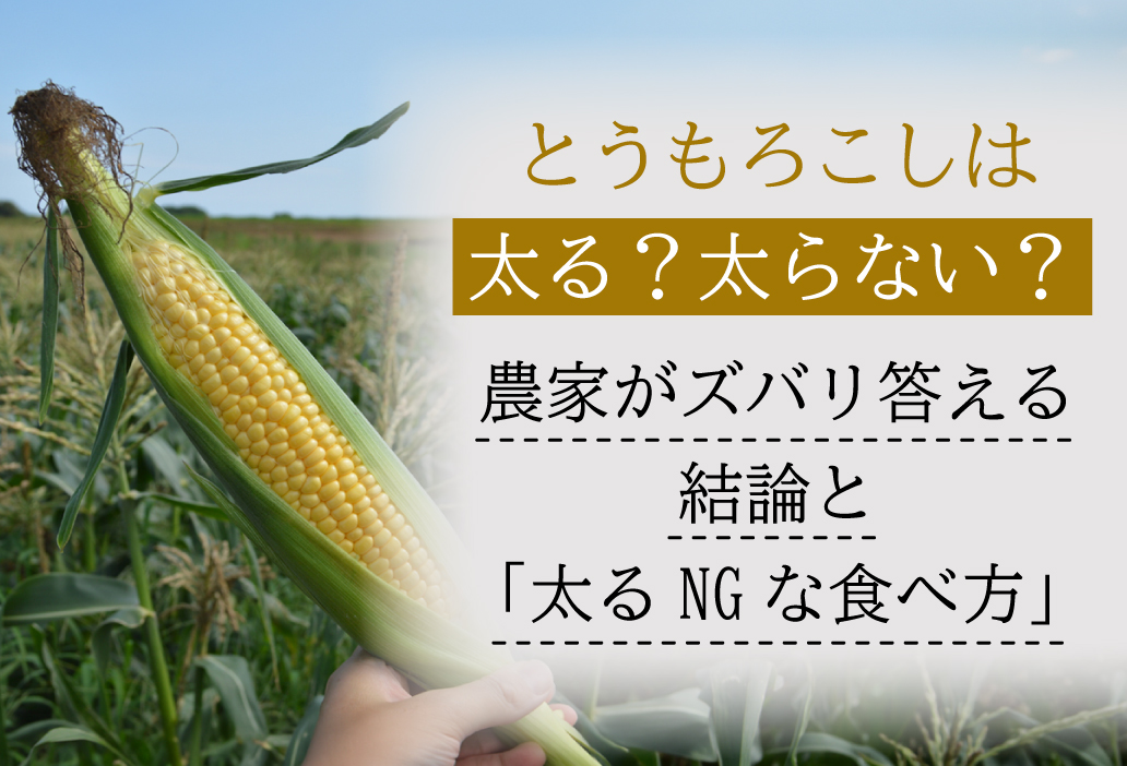 とうもろこしは太る？太らない？農家がズバリ答える結論と「太るNGな食べ方」
