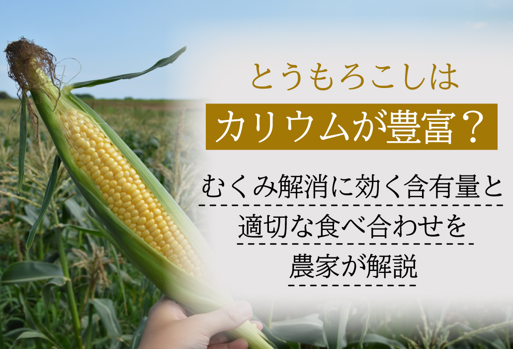 とうもろこしはカリウムが豊富？むくみ解消に効く含有量と適切な食べ合わせを農家が解説