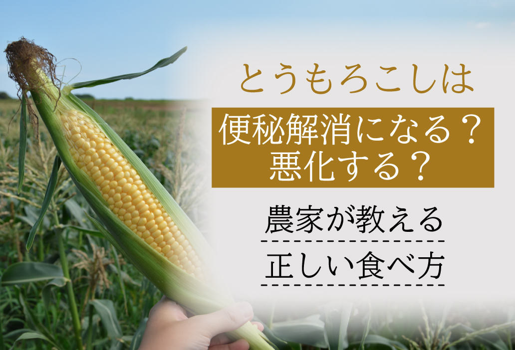 とうもろこしは便秘解消になる？悪化する？農家が教える正しい食べ方