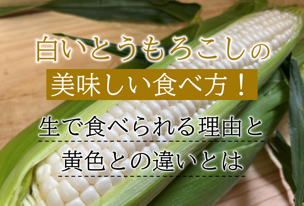 白いとうもろこしの美味しい食べ方！生で食べられる理由と黄色との違いを農家が解説