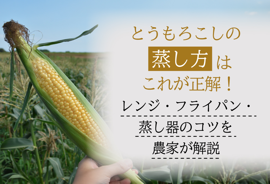 とうもろこしの蒸し方はこれが正解！レンジ・フライパン・蒸し器のコツを農家が解説