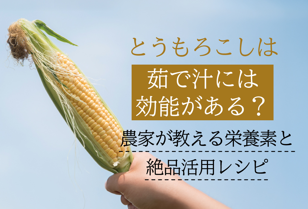 とうもろこしの茹で汁には効能がある？農家が教える栄養素と絶品活用レシ