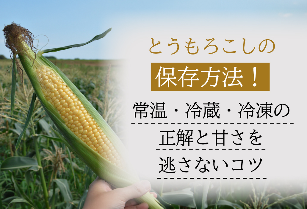 とうもろこしの保存方法の正解！常温・冷蔵・冷凍の使い分けと甘さを逃さないコツ