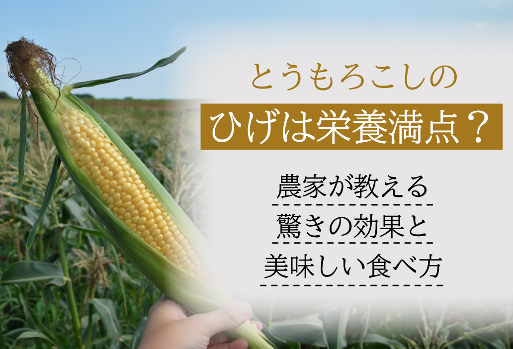 とうもろこしのひげは栄養満点？農家が教える驚きの効果と美味しい食べ方